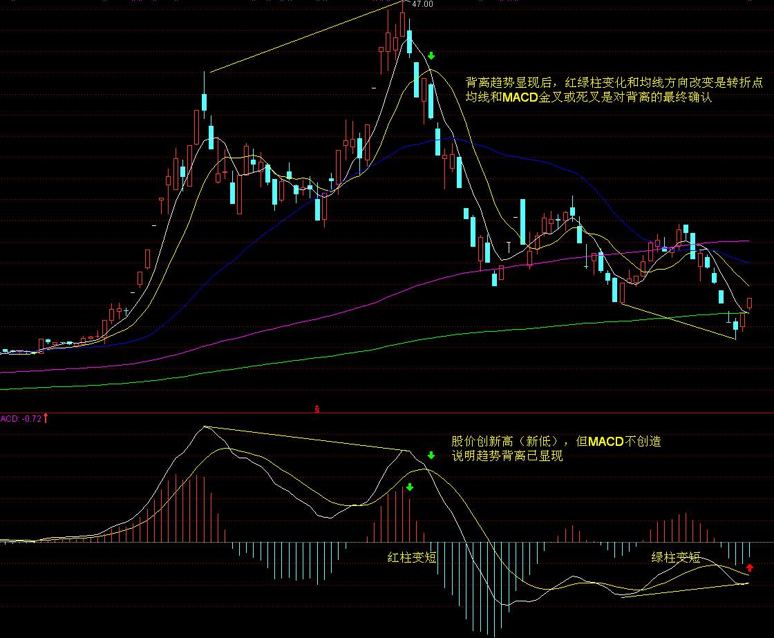 第九届广州老博会开幕 持老年优待卡消费打折