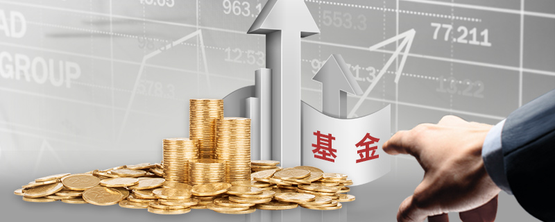 追梦珠海，圆梦湾区！2025台青暑期职场实习营收官