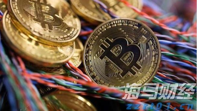 五里镇:800亩贝贝南瓜喜获丰收