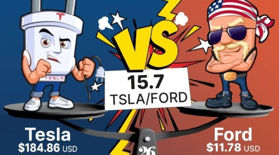 深耕创作沃土 讲好徐闻故事